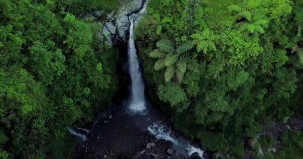 Aerial View Drone Flying Nature View Waterfall River Flow Surrounding — Stock video