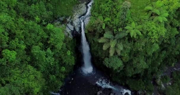 Luchtfoto Van Drone Vliegen Natuur Uitzicht Waterval Met Rotsachtige Rivier — Stockvideo
