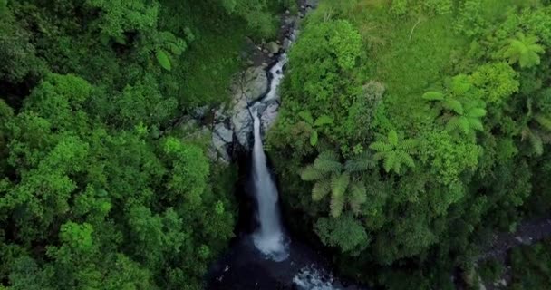 周囲の植生と滝の自然の景色を飛んで無人機からの空中ビュー 自然はまだ美しいですKedung Kayang滝中央ジャワ州 インドネシア — ストック動画