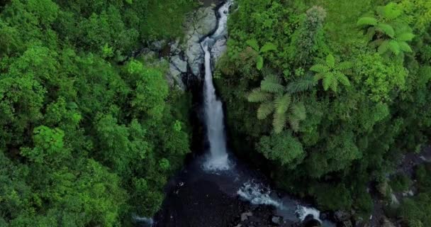 Aerial View Drone Flying Nature View Rushing Waterfall Surrounding Vegetation — Stock Video