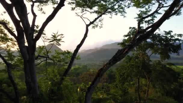 Jungle Mountain Sunrise Aerial Shot Trees — Video