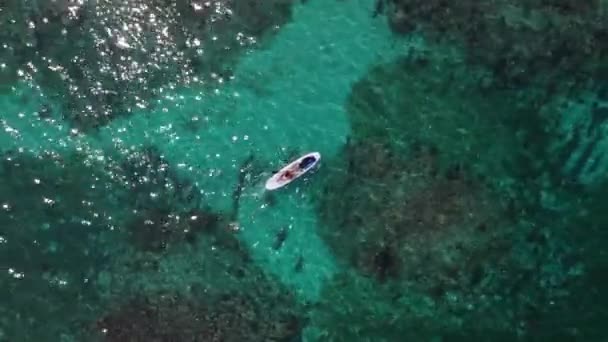 在加勒比海珊瑚礁上空与狗一起登机的女孩 — 图库视频影像