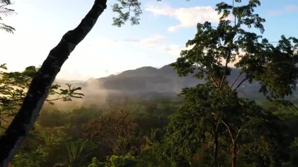 Dschungel Sonnenaufgang Durch Bäume Neblige Berge Luftaufnahme — Stockvideo