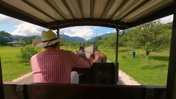 Caballo Transporte Paseo Selva Montaña Valle Pov Disparo — Vídeo de stock