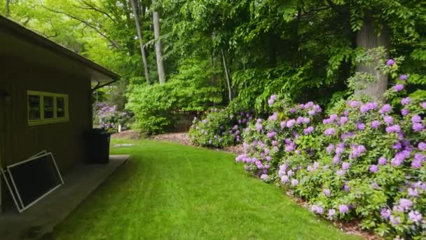 Quintal Para Jardim Frente Mostrando Flores Flor — Vídeo de Stock