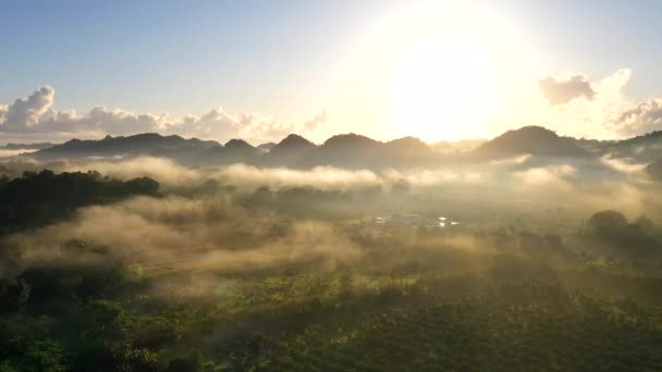 Sunrise Fog Jungle Mountains Hyperlapse Drone Shot — стоковое видео