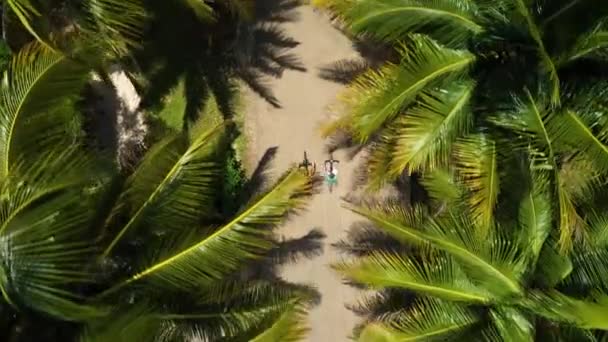 Paar Riding Bikes Palm Bomen Samen Luchtfoto — Stockvideo