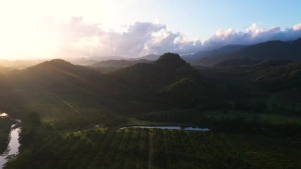 Montaña Pico Selva Amanecer Disparo Aéreo — Vídeo de stock