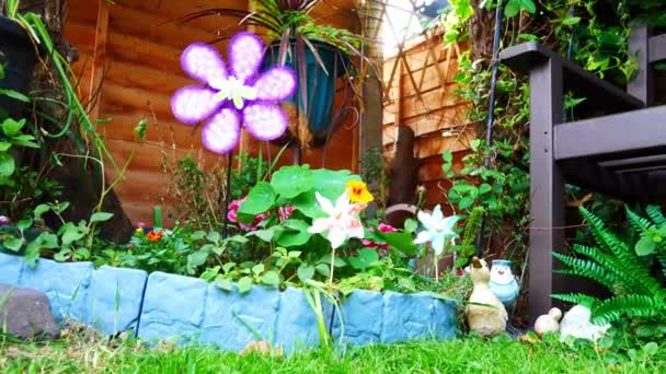 花や植物の品揃えの間の風に吹いてカラフルな回転子供のような蝶の風車ローアングルショット — ストック動画