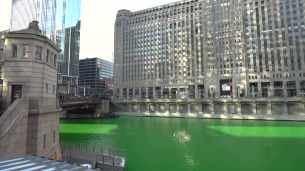 Downtown Chicago Illinois Eua Riverwalk Buildings Static View — Vídeo de Stock