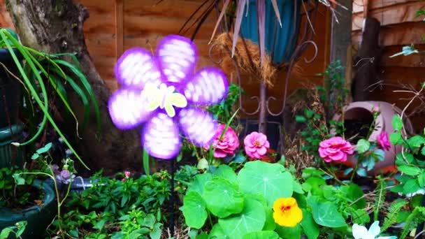 Bunte Sich Drehende Kindliche Schmetterlingsmühle Weht Wind Zwischen Blühenden Blumen — Stockvideo