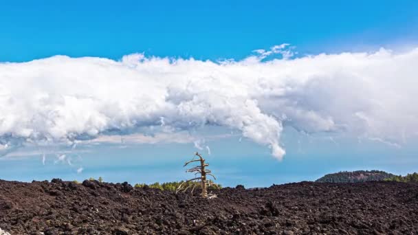 Caducidad Zona Deforestación Junto Estratovolcán Monte Etna — Vídeo de stock
