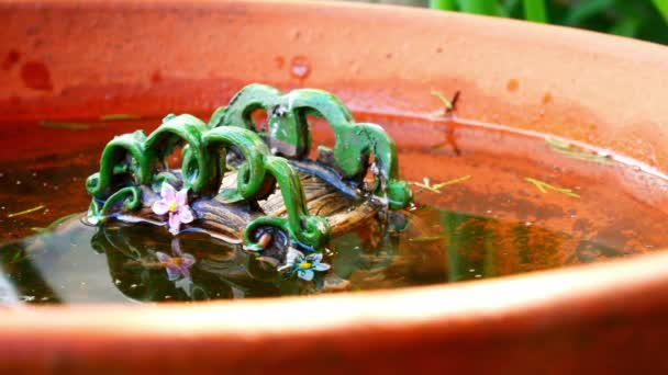 Decorative Ornate Chinese Model Bridge Terracotta Bird Bath Water Rippling — Stockvideo