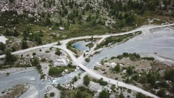 Wandelpad Zwitserse Alpen Drone Luchtzicht Rivierdelta Bos — Stockvideo