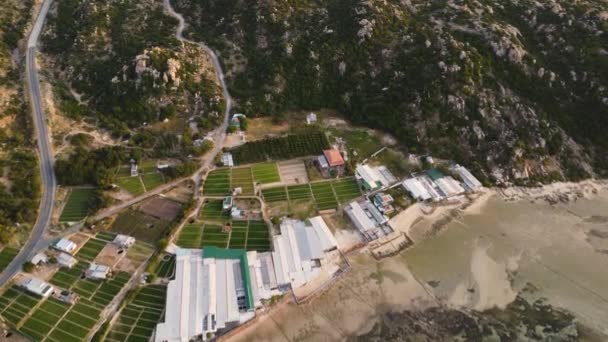 Aerial Panorama Garlic Plantations Shrimp Farms — 비디오