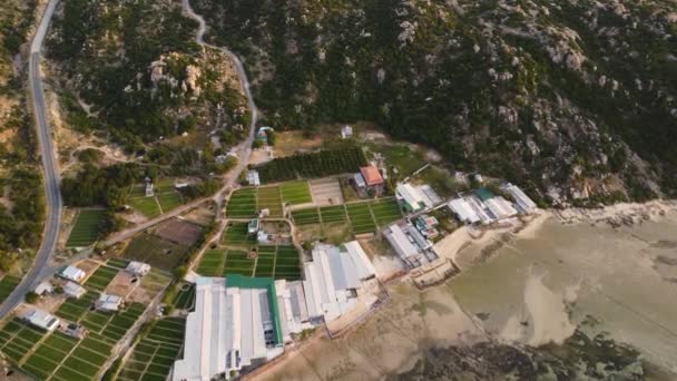 Panorama Aéreo Sobre Plantaciones Ajo Granjas Camarones — Vídeo de stock