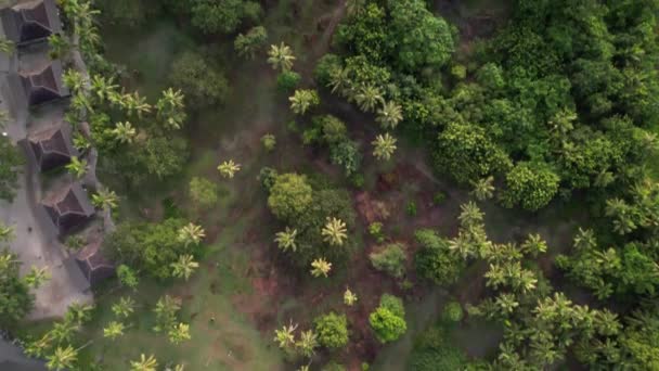 俯瞰斐济双树度假胜地的无人机 大量的棕榈树 茅屋和码头 — 图库视频影像