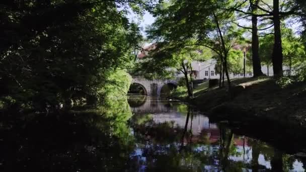 Flying Picturesque River Kthen Germany — Vídeo de Stock