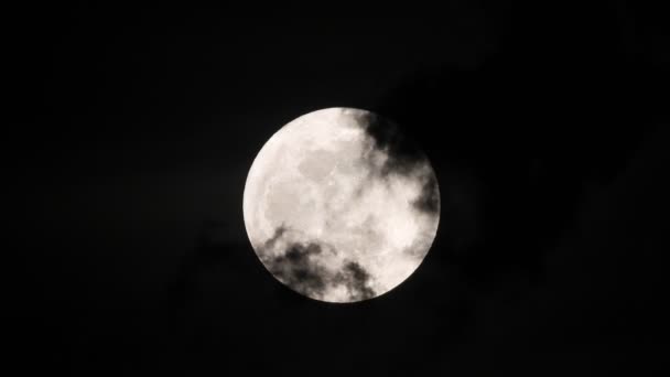 Luna Nuvole Notte Vento — Video Stock