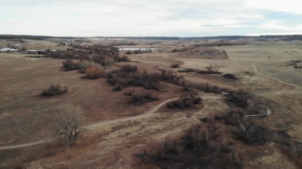 Park Recreation Area Trees River Aerial Drone Footage Horizontal Shot — Vídeos de Stock