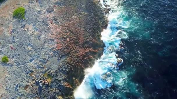 空中の景色は カノアビーチ キュラソー島 オランダ領カリブ海の岩の多い海岸からドリーアップ傾きます 海岸に打ち寄せる波 — ストック動画