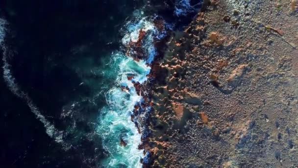 Dolly Vue Aérienne Littoral Kanoa Beach Curaçao Hollande Caraïbes Île — Video