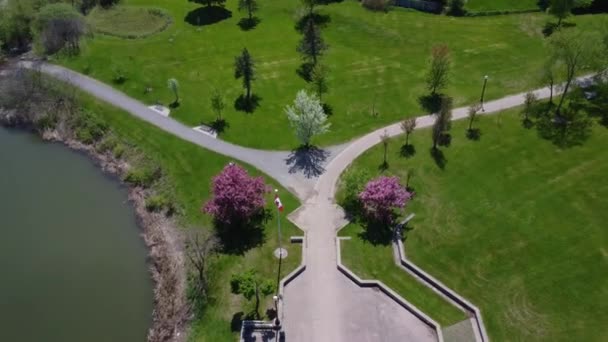 Aerial Kirsebær Blomstrer Blå Himmel Dag Inde Bypark – Stock-video