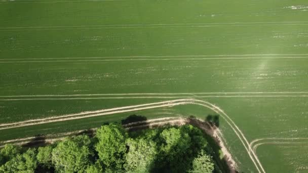 英国塔顶无人机显示无人驾驶航空器的空中飞行 — 图库视频影像