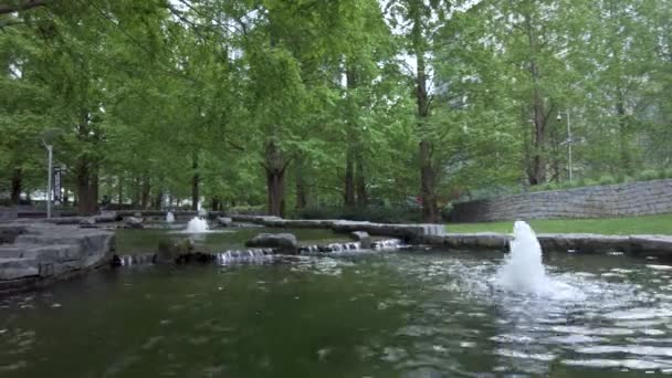 金丝雀码头 一个美丽的春天 在一个美丽的户外天气里 金丝雀花园公园的一个水景被高大的树木和绿草环绕着 — 图库视频影像