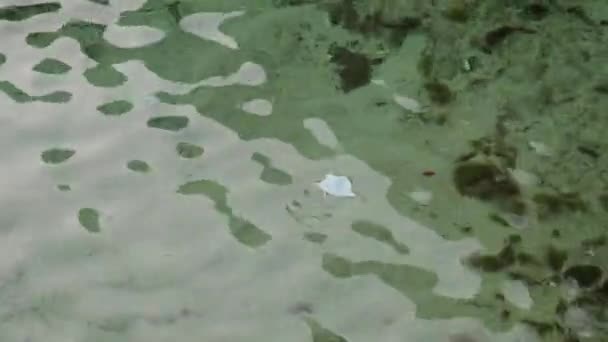Old Covid Mask Swimming Ocean Malta Symbolizing Environmental Impact Covid — Stock Video