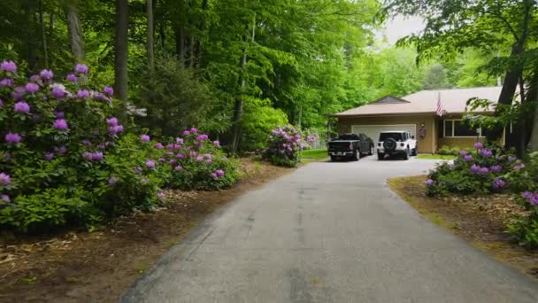 Pushing Home Summer Blooming Rhododendrons — Wideo stockowe