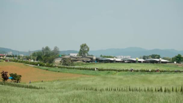 Panorama Anseong Farmland Tourists Riding Bicycle Sunny Day South Korea — Wideo stockowe