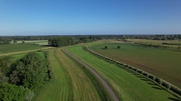 荷兰河流流域景观航空紧跟着堤岸 在Zutphen附近的农业农村地区有一条蜿蜒曲折的道路 后方有泵站的水管理建筑 — 图库视频影像