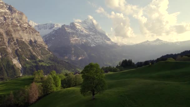 Aerial Drone Footage Flying Sycamore Maple Revealing Picturesque Mountain Scape — Video