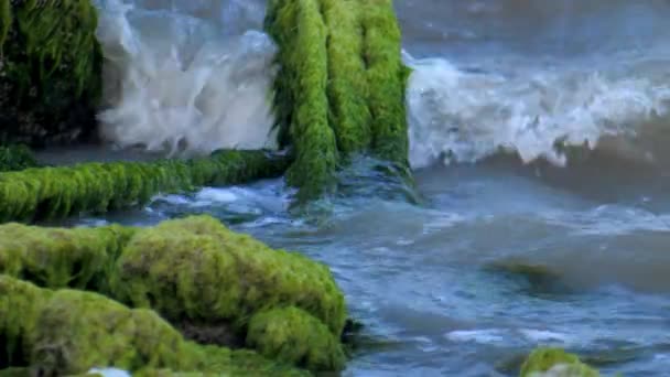 Slo Water Crashes Mossy Pillar Rocks — 图库视频影像