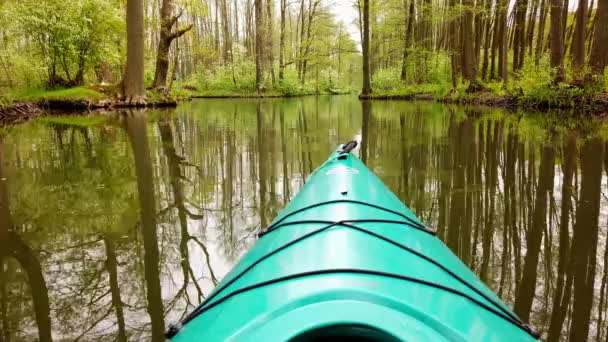 View Green Kayak River Beautiful Nature Spreewald — Vídeos de Stock