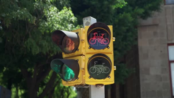 Red Bicycle Icon Traffic Light México City Inglés Pan Lento — Vídeo de stock