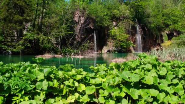 Low Angle View Little Waterfalls Flowing Idyllic Green Natural Landscape — Stok video
