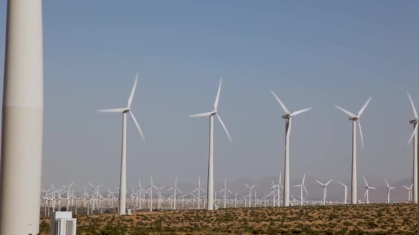 Video Wind Turbines Fields Summer Day Energy Production Clean Renewable — Vídeos de Stock