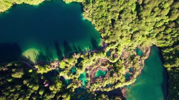 Plitvice Gölü Hırvat Nacionalni Parkı Plitvika Jezera — Stok video