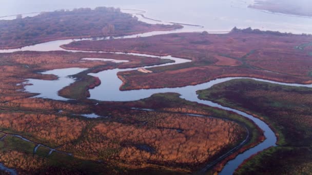 Αεροφωτογραφία Του Τοπίου Δέλτα Του Ποταμού Στην Ολλανδία Ευρώπη — Αρχείο Βίντεο