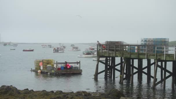 Lobster Traps Fishing Equipment Raft Pier Fog Rain Seagull Flying — Vídeos de Stock