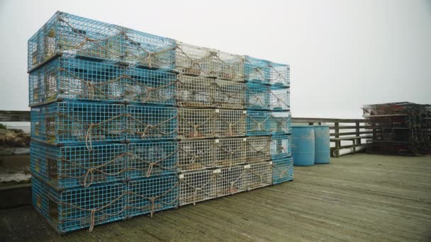 Colorful Lobster Traps Stacked Dock Pier Other Fishing Equipment 60P — Vídeos de Stock