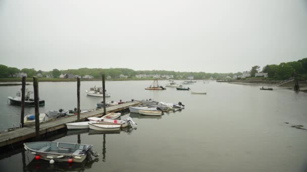 缅因州的一个码头 船上有乌黑的龙虾渔船和海鸥 — 图库视频影像