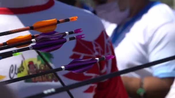 Draw Arrows Target Tournament — Vídeo de stock