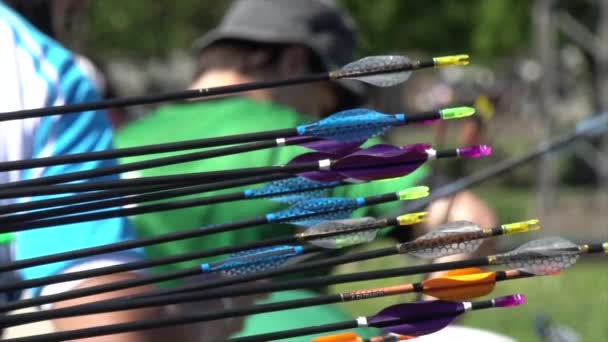 Slow Motion Arrows Hitting Target — Vídeos de Stock