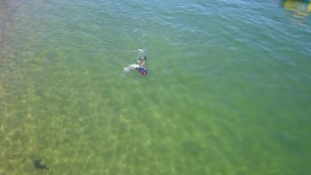 Drone Flight Swimmer Doing Diving Buzios Brazil — Wideo stockowe