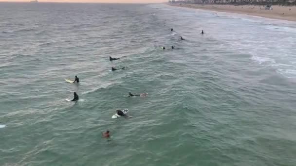 Large Paddle Out Beach — Stockvideo