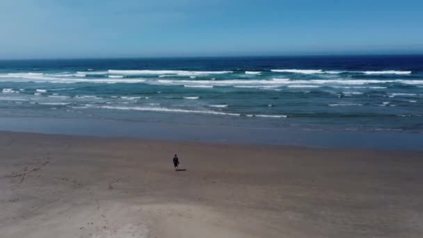 在俄勒冈州纽波特的奈海滩上 一名男子朝着海浪和太平洋走去 无人机拍到了他的照片 这个令人震惊的4K电影海岸拍摄是用Dji Mini 2无人驾驶飞机拍摄的 — 图库视频影像