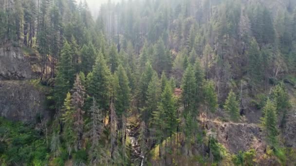 Drone Pan Shot Forest Waterfall Cascading Canyon Columbia River Gorge — Vídeos de Stock